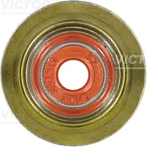 REINZ 703939800 Колпачек маслосъемный