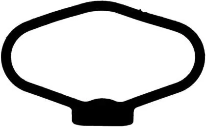 REINZ 711017000 Прокладка ГБЦ BMW F07 F10,F11 09>