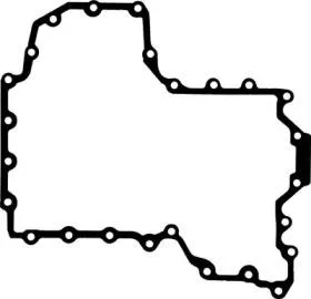 REINZ 711030500 Прокладка маслянного поддона BMW E70 08- 4.4