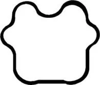 REINZ 712049610 Прокладка спец.