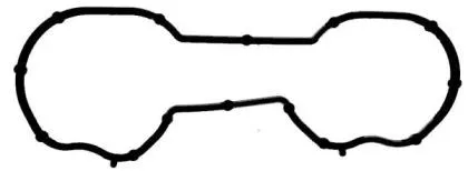 REINZ 713411100 прокладка коллектора впускного Ford Focus Fiesta 1.41.6 98-04