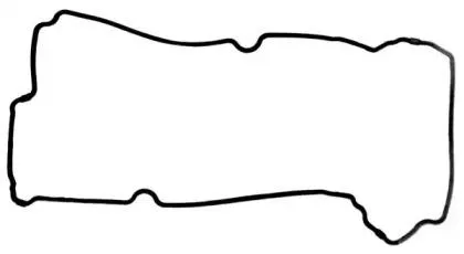 REINZ 713809600 Прокладка клапанной крышки правая Ford Maverick , Mazda MPV Tribute 3.0 V6 24V 00>