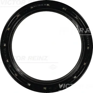 REINZ 813806900 Сальник MAN Truck кв передний Truck