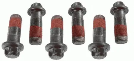 SACHS 1874000039 Болт маховика комплект (6шт.)