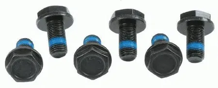 SACHS 3096005000 Комплект болтов  маховика VW Golf VII 1.4 12-18 Skoda Rapid 1.4,1.6 12=>
