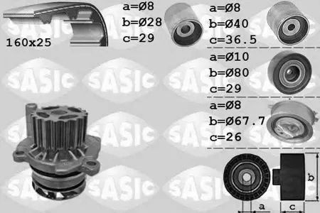 SASIC 3906069 Ремкомплект ГРМ с водяным насосом