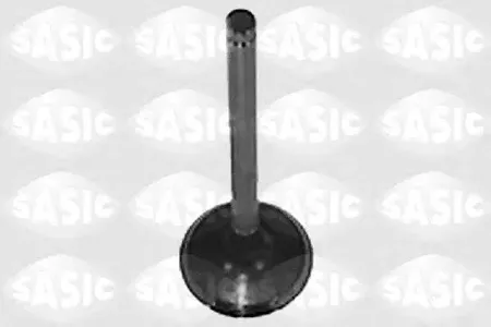 SASIC 4000957 Клапан выпускной