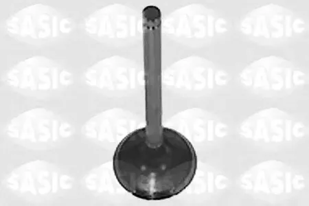 SASIC 4000959 Клапан впускной Renault Megane 96- 1.9d