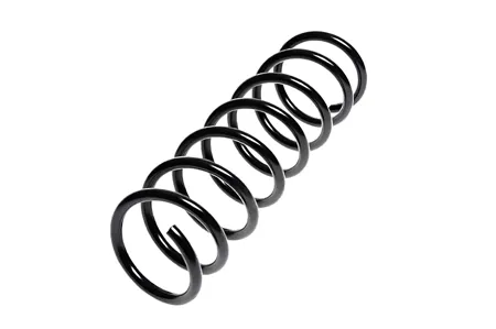 STANDARD SPRINGS ST110099R Пружина задняя