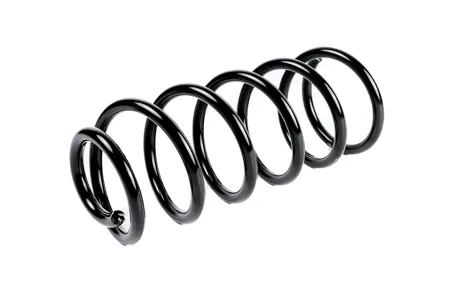 STANDARD SPRINGS ST112081R Пружина задняя Hyundai