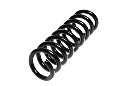 STANDARD SPRINGS ST120106R Пружина задняя