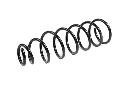 STANDARD SPRINGS ST122072R Пружина задняя Mitsubishi