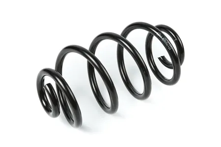 STANDARD SPRINGS ST123090R Пружина задняя Nissan