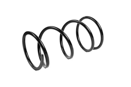 STANDARD SPRINGS ST123106F Пружина передняя Nissan