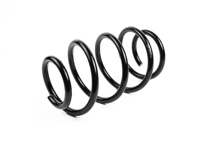 STANDARD SPRINGS ST123110F Пружина подвески передняя Nissan