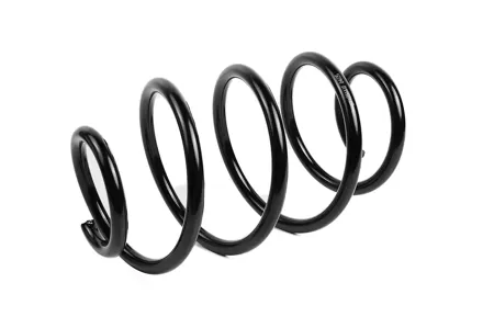 STANDARD SPRINGS ST123111F Пружина передняя Nissan