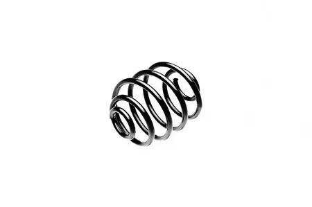 STANDARD SPRINGS ST124043R Пружина задняя Opel