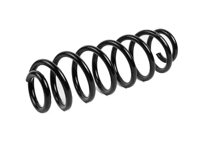STANDARD SPRINGS ST126003R Пружина задняя Chery