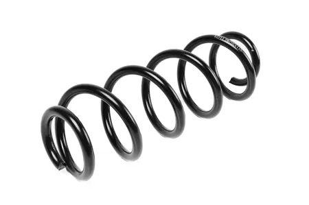 STANDARD SPRINGS ST132024R Пружина задняя Suzuki