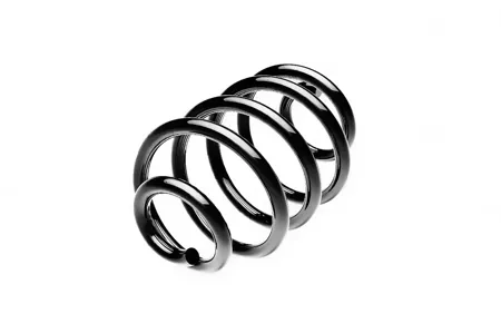 STANDARD SPRINGS ST134054R Пружина задняя
