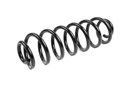 STANDARD SPRINGS ST134121R Пружина задняя VW