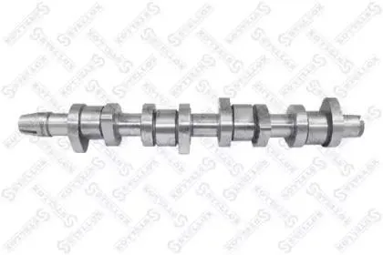 STELLOX 1010063SX распредвал 038109101R VW Golf V 1.9TDI BKC 03>