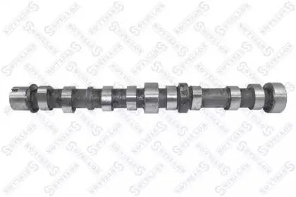 STELLOX 1010065SX распредвал впускной 46823508 Fiat Punto 1.3D 199 A2.000 08>