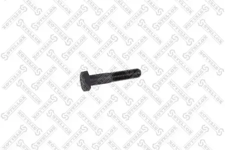 STELLOX 7901139SX Зажимный болт несущего направляющего шарнира