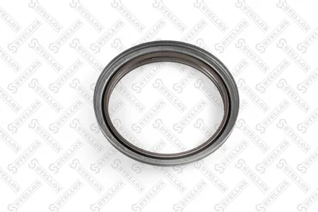 STELLOX 8101170SX Уплотнительное кольцо втулки рессоры (серьга рессоры)