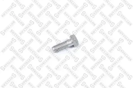 STELLOX 8900613SX Болт