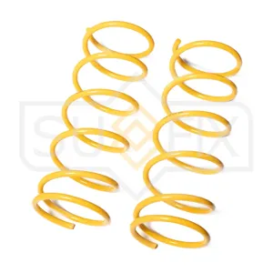 SUFIX SZ1376 Пружины подвески задние