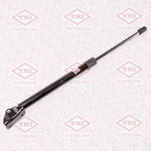 TATSUMI TAF1067 Амортизатор крышки багажника (L=482mm, F=485N)