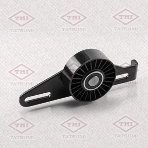 TATSUMI TFD1019 Ролик натяжителя поликлин.ремня