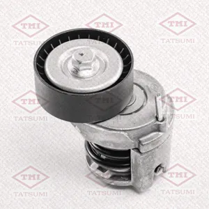 TATSUMI TFD1077 Натяжитель ремня приводного VAG 1.41.6 02-