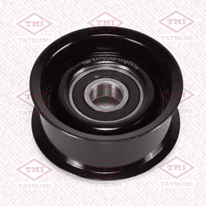 TATSUMI TFD1113 Ролик натяжителя поликлин.ремня