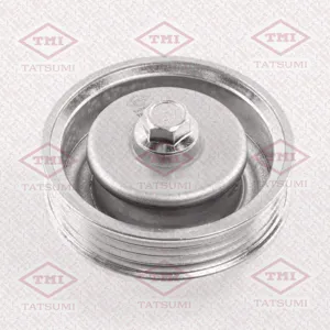 TATSUMI TFD1438 Ролик натяжителя поликлин.ремня