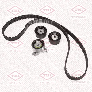 TATSUMI TFE1045 Ремень ГРМ [169 зуб.,24mm] + 3 ролика