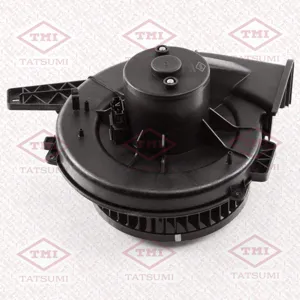 TATSUMI TGD1006 вентилятор отопителя VW Polo 10>