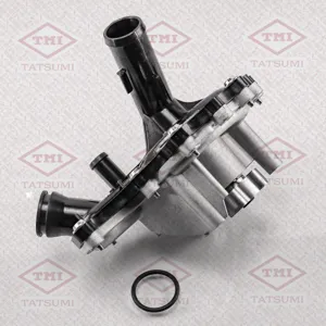 TATSUMI TGF1002 Водяной насос