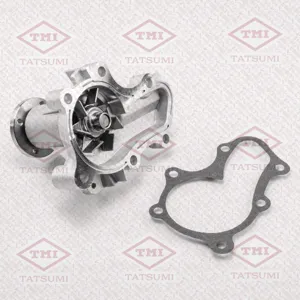 TATSUMI TGF1028 Водяной насос