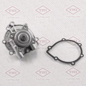TATSUMI TGF1038 Водяной насос