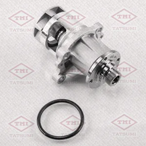 TATSUMI TGF1048 Водяной насос