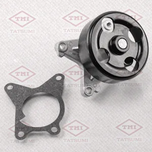 TATSUMI TGF1049 Водяной насос