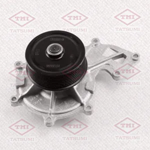 TATSUMI TGF1060 Водяной насос
