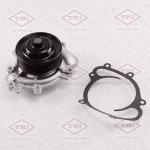 TATSUMI TGF1062 Водяной насос