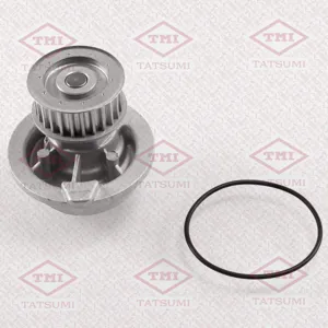 TATSUMI TGF1063 Водяной насос