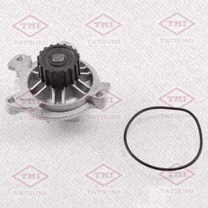 TATSUMI TGF1068 Водяной насос
