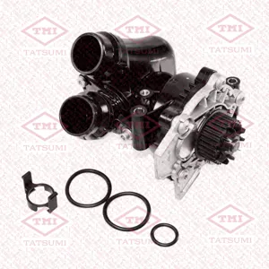 TATSUMI TGF1079 Водяной насос с корпусом