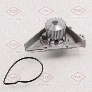 TATSUMI TGF1101 Водяной насос