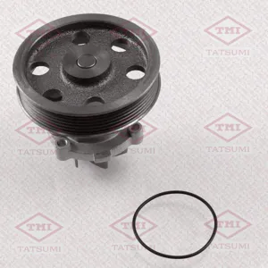 TATSUMI TGF1126 Водяной насос